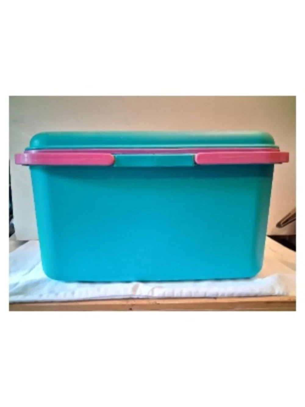 Vintage 1990s Eagle Craftstor Sewing & Craft Storage Organizer Tote.
